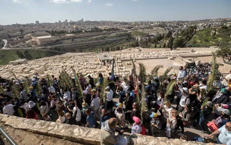 domingo-de-ramos-en-el-monte-de-los-olivos-jerusalen-efe-768×484
