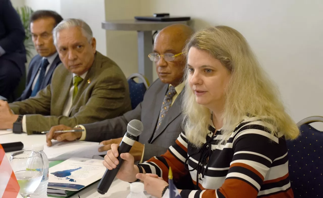 thumbnail_la-represente-de-la-oiea-de-viena%2c-ilse-berdellans-escobar-en-primer-plano-%2c-el-viceministro-de-energia-dominicano%2c-ernesto-vilalta-y-antonio-herrera