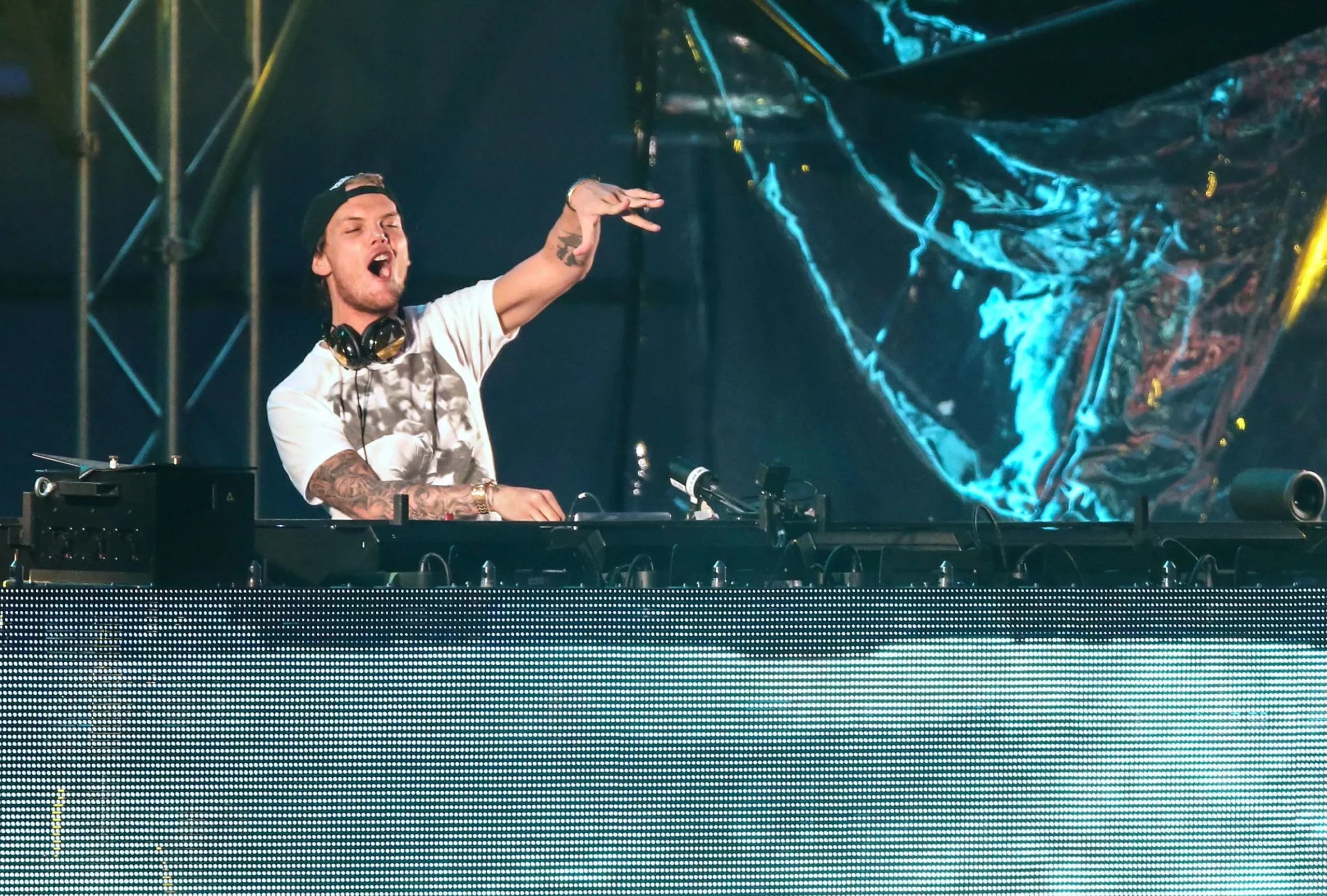 FILES AVICII OBIT