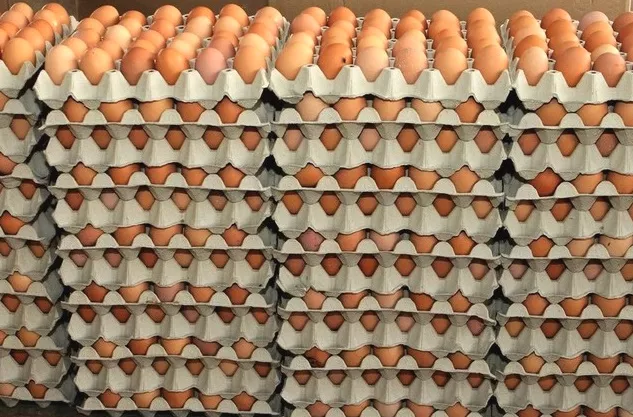 dominicanos-en-ny-dejan-de-comprar-huevos