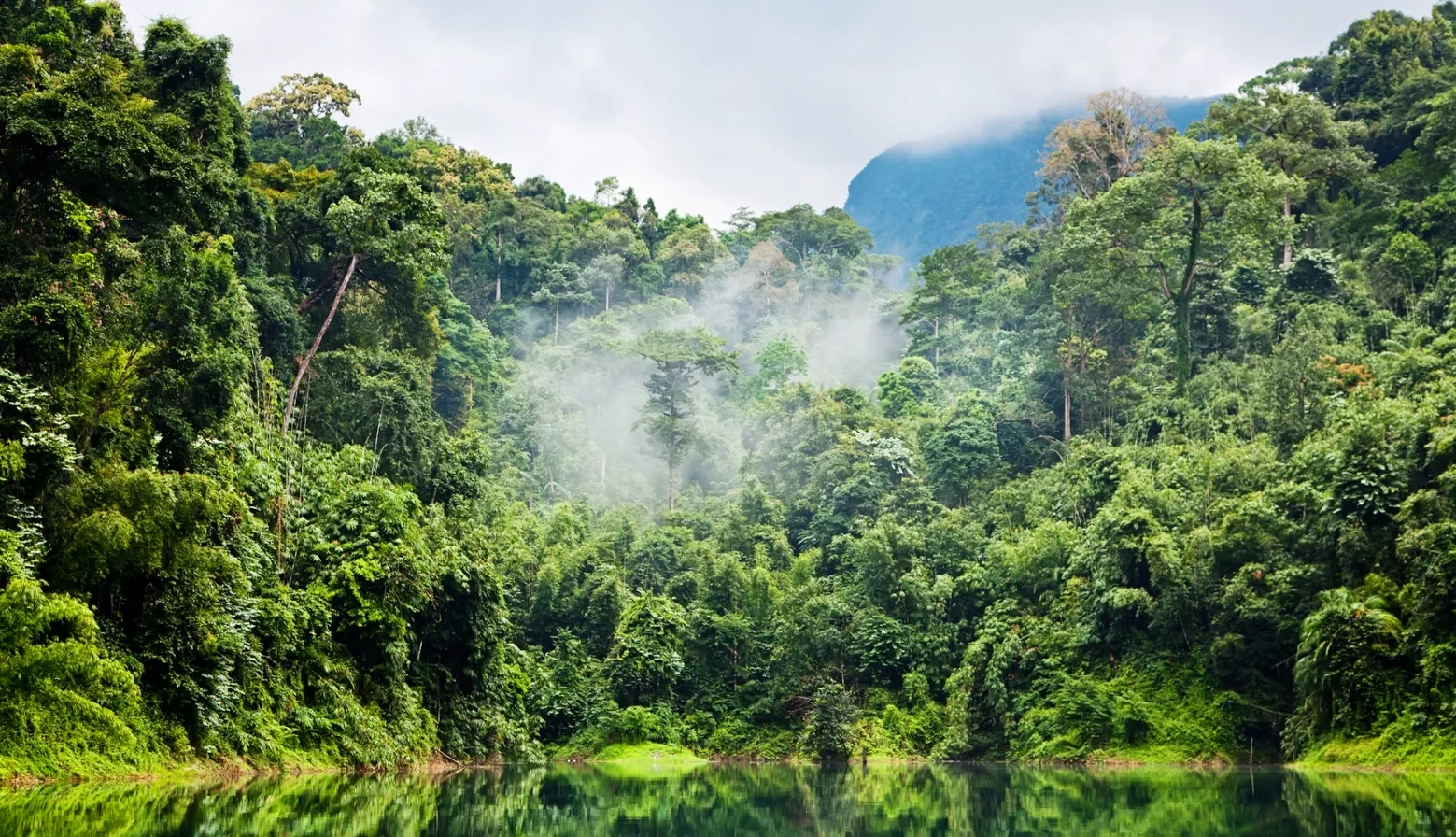 selva-amazonia