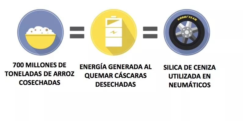 cascara