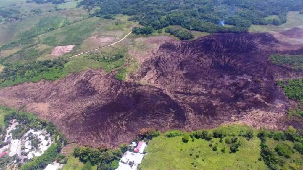 fuego-forestal-arrasa-amplia-zona-vegetal-proxima-a-laguna-de-cabarete-se-rumora-pudo-ser-provocado