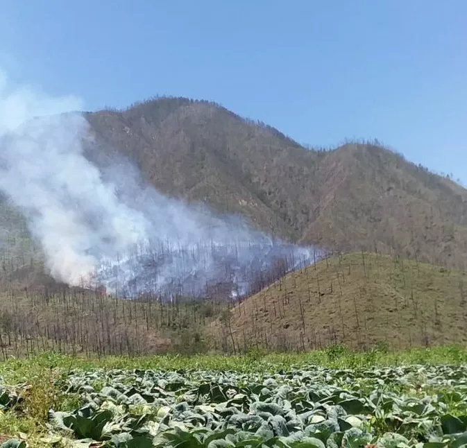 fuego-valle-nuevo-constanza