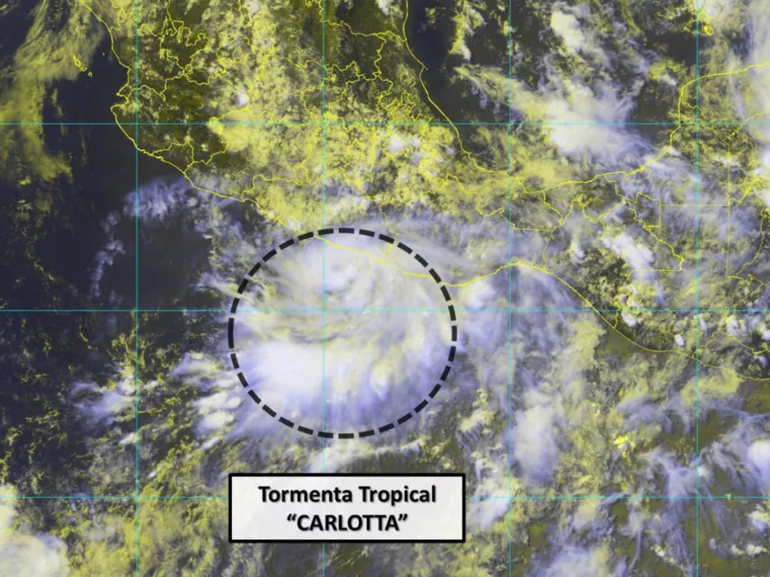 carlotok-1078×808