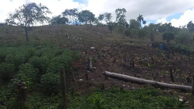 denuncian-deforestacion-en-lomas-de-gualete-y-otras-comunidades-de-la-parte-oeste-de-puerto-plata