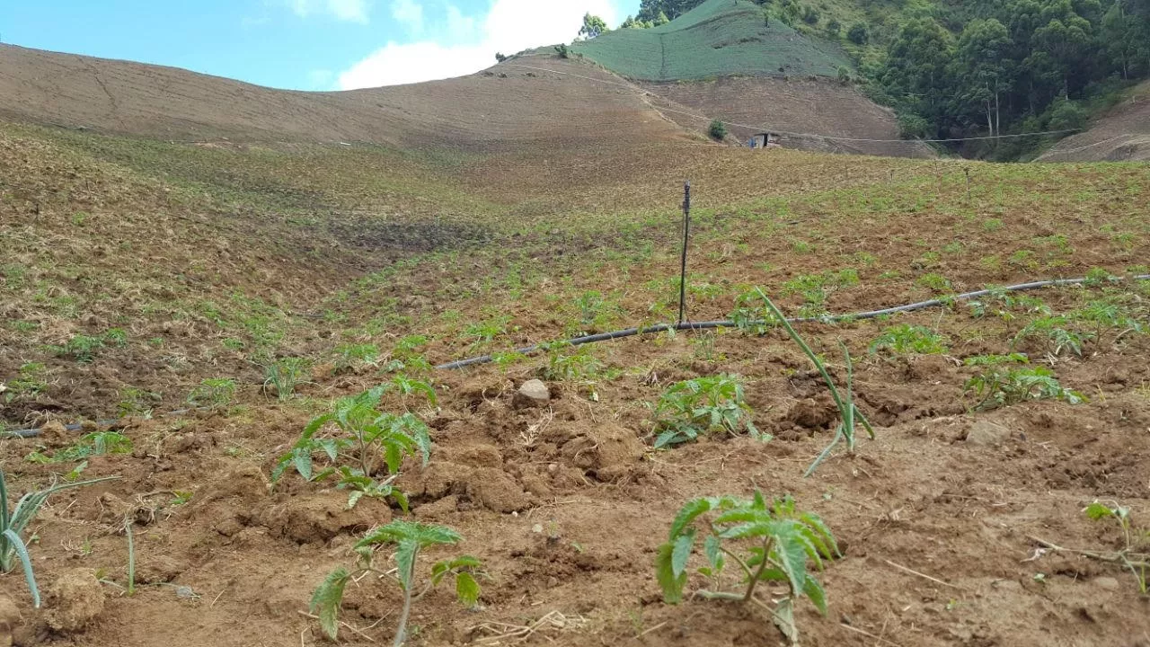 valle-nuevo