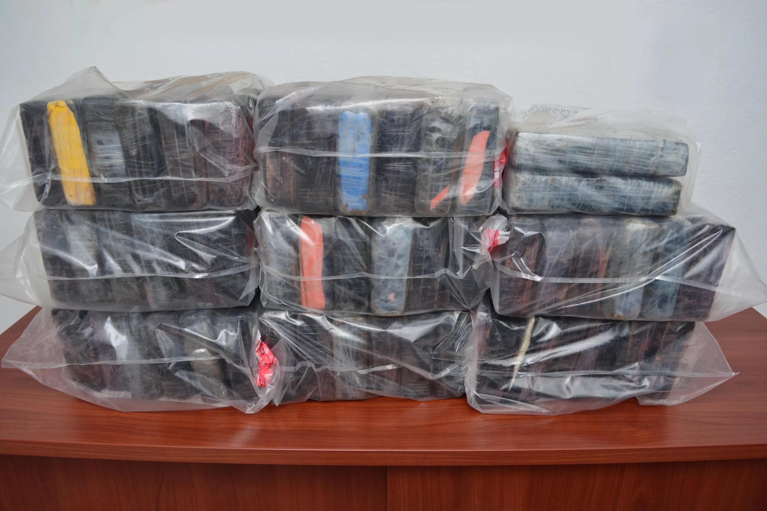 foto-51-kilos-de-cocaina-incautado-por-dncd-1