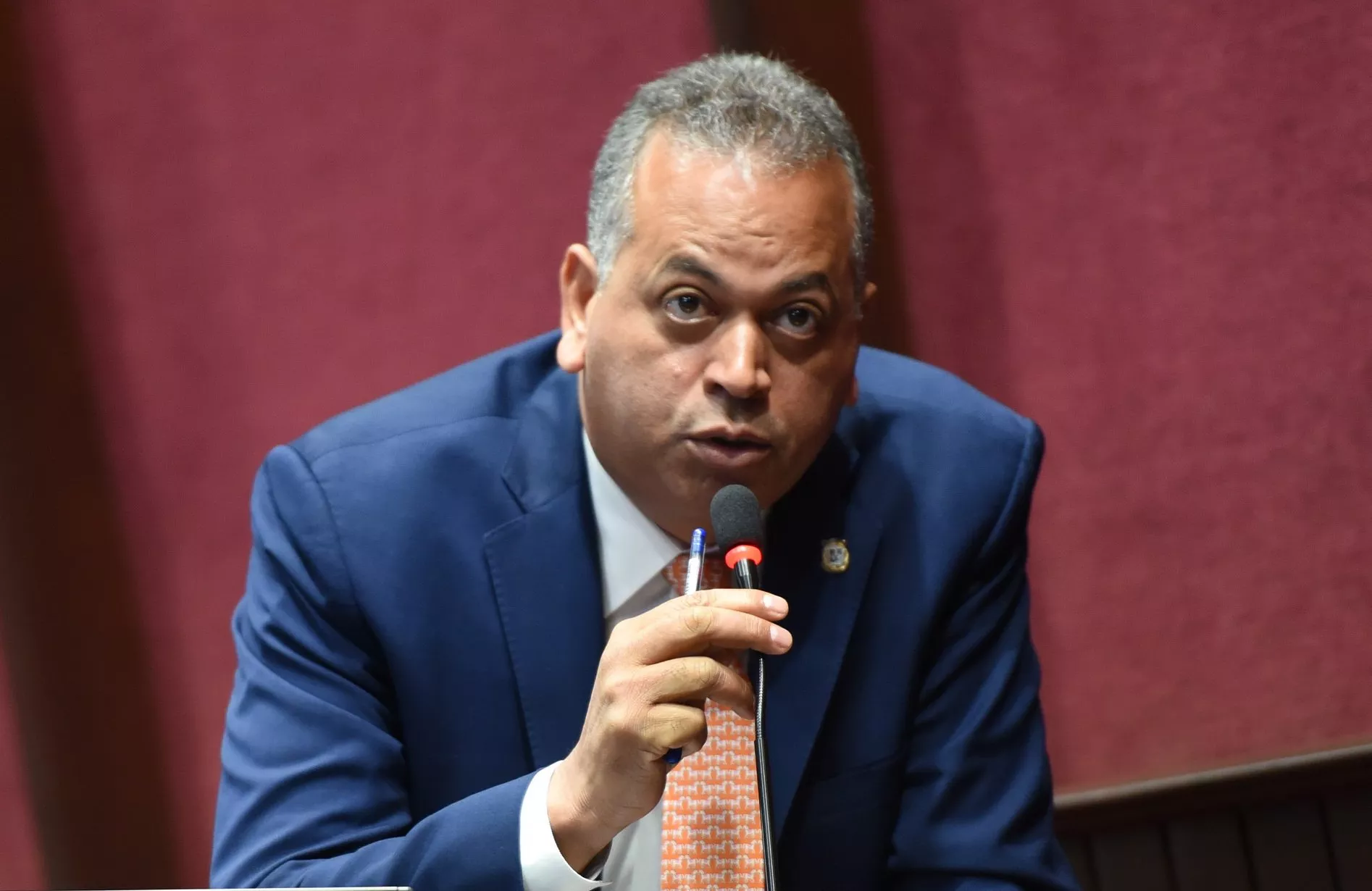 diputado