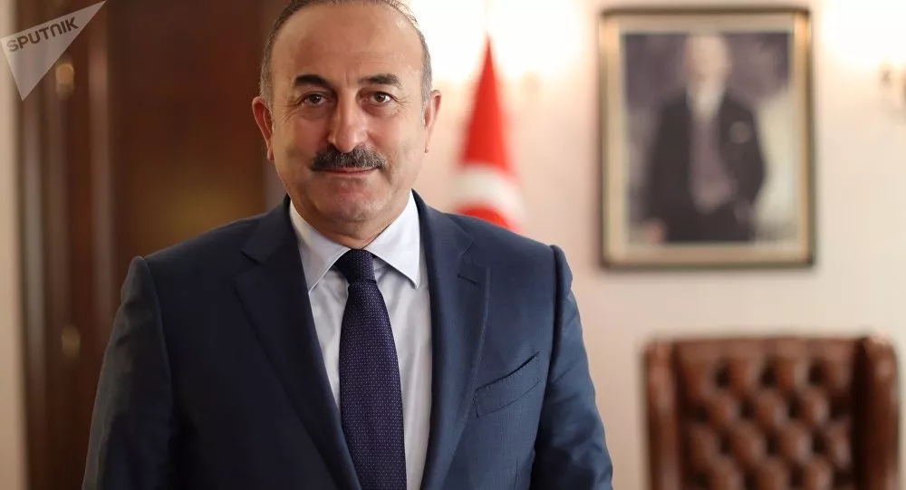 el-canciller-mevlut-cavusoglu-mantiene-la-compra