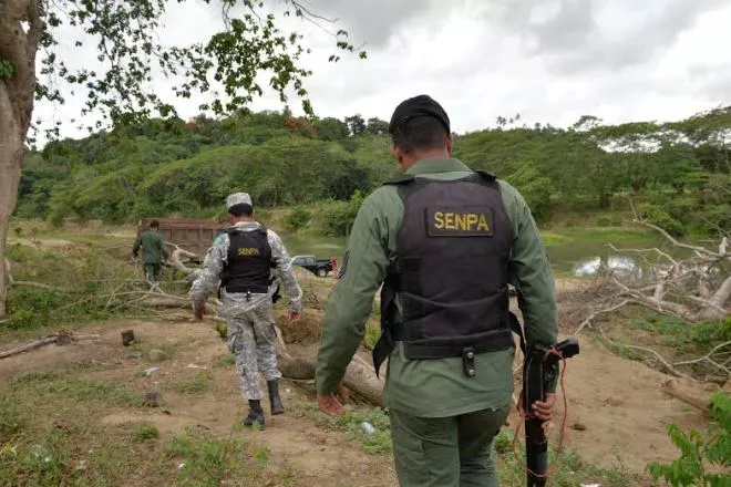 senpa
