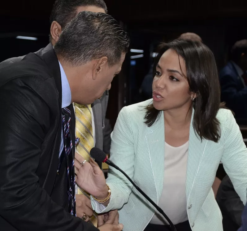 Seseción en la camára de diputados/foto J. de Leon