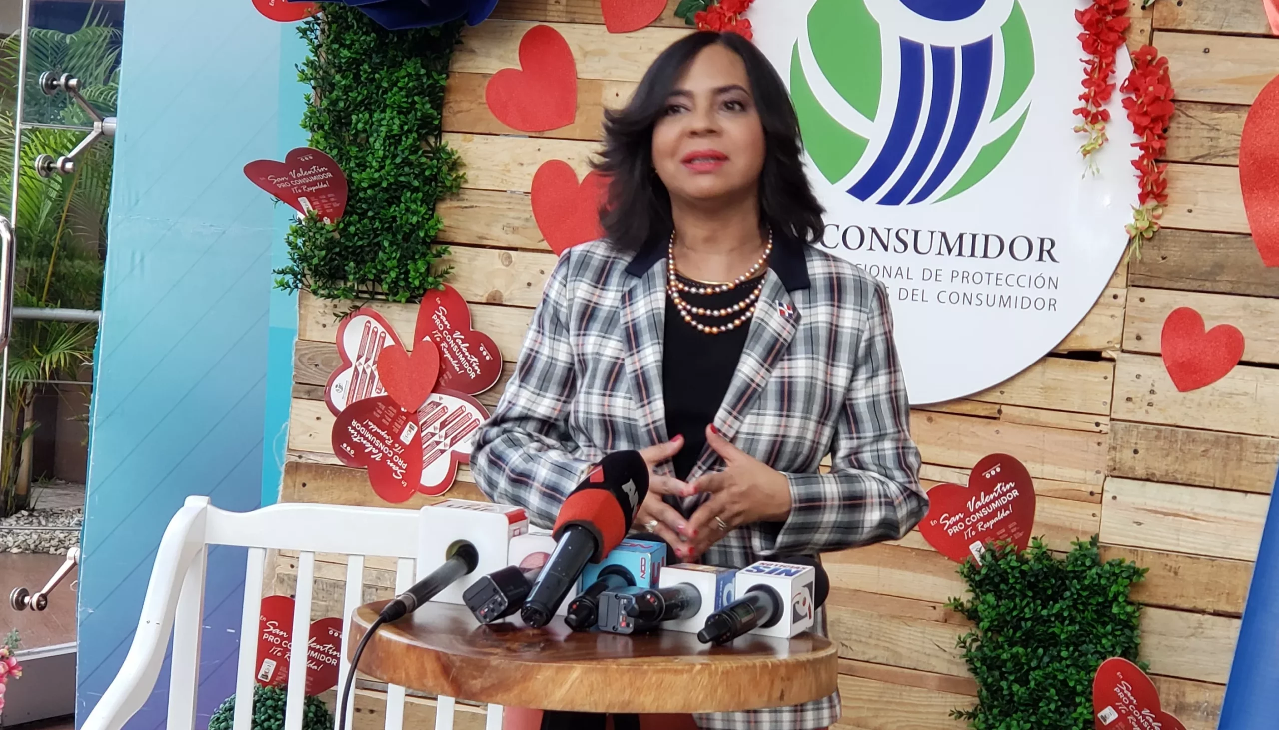 directora-de-la-entidad-anina-del-castillo