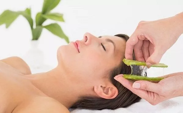 cicatrices-aloe-vera-cutis-cara-jpg_1804370800
