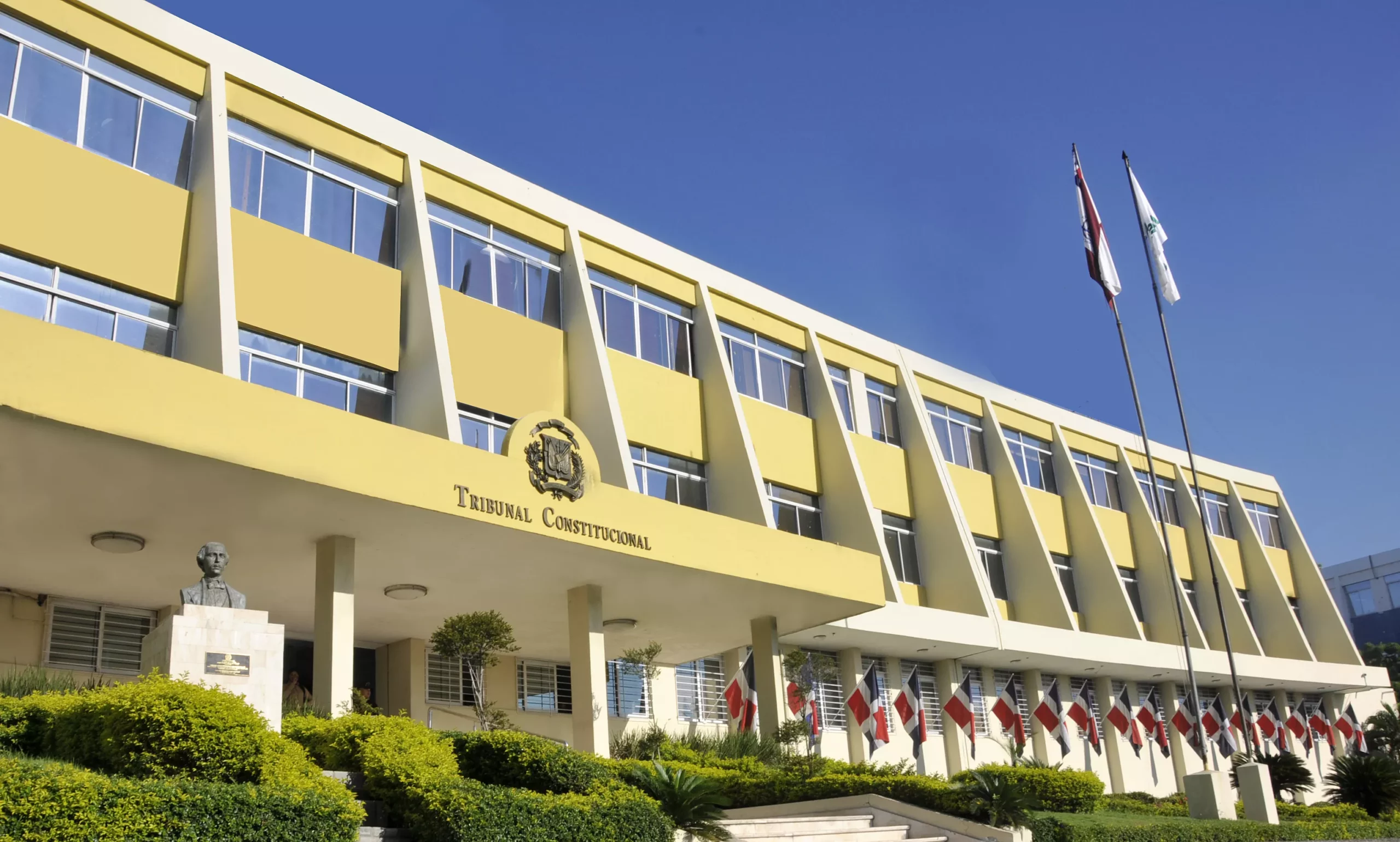 tribunal constitucional