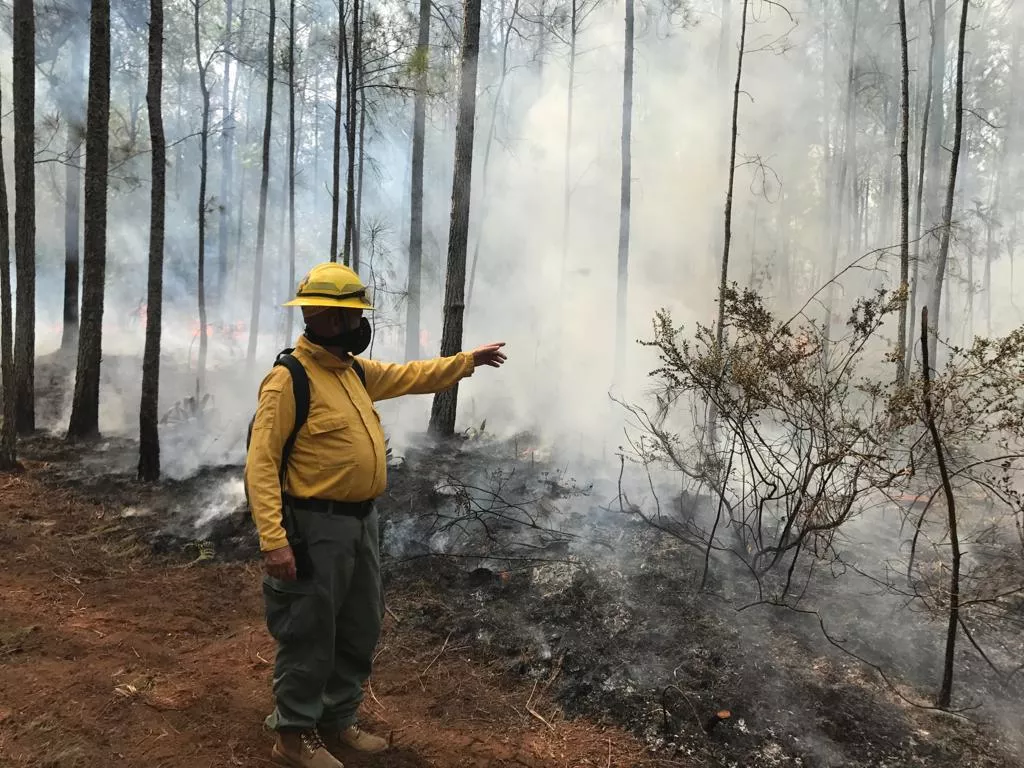 fuego-2