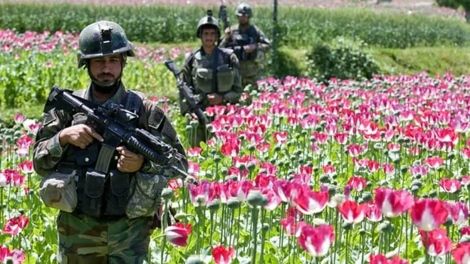 _106625929_soldiers_976alamy