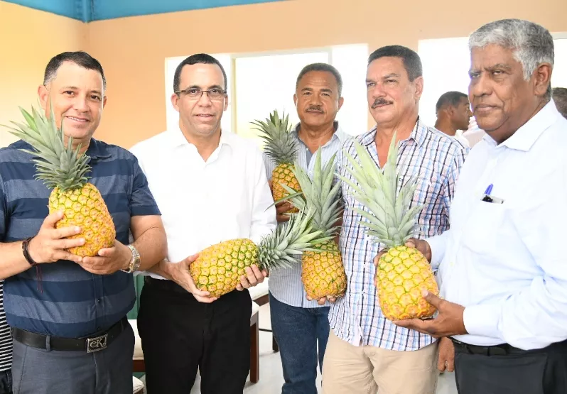 Andrés Navarro con productores de piña de Cevicos.