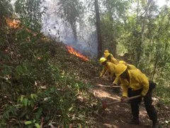 incendio