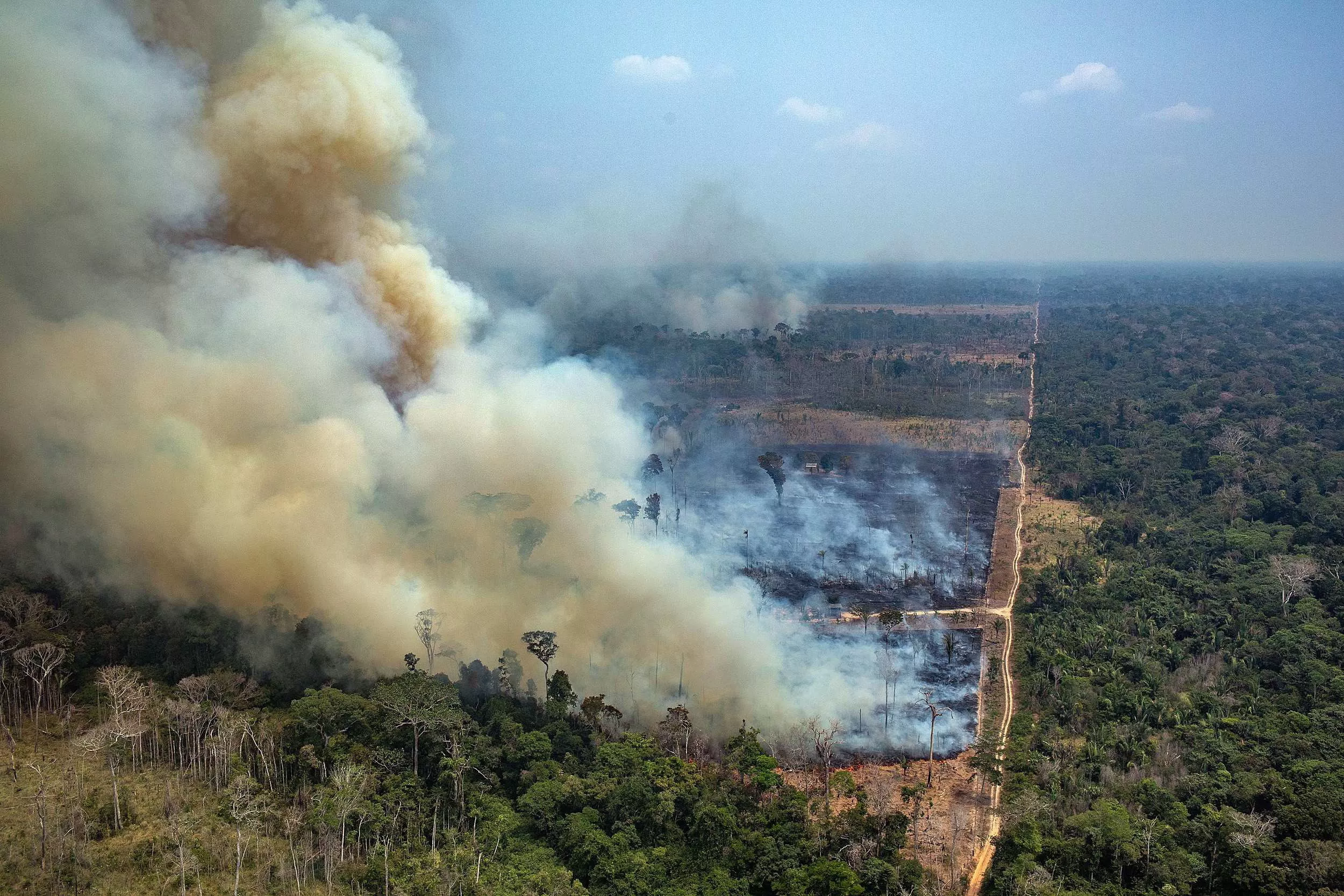 Amazon fire in Brazil
