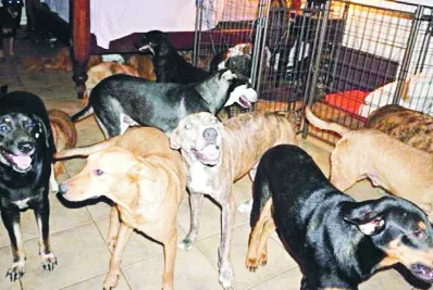 06/09/2019 ELDIA_VIERNES_060919 Cartelera20