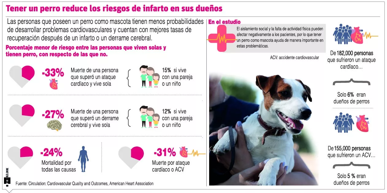 info-reisgos-infarto