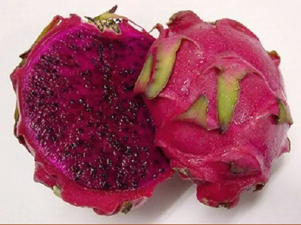 Fruta-de-la-planta-de-pitahaya-JC2-W01-600-450