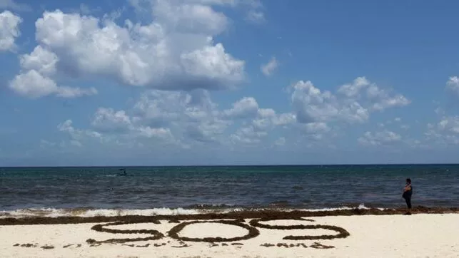 cambio-climatico-mermara-oxigeno-oceanos_EDIIMA20191207_0124_4