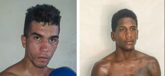 La Unión de Promotores de Boxeo