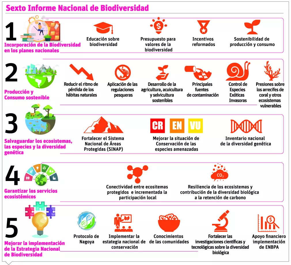 info-INFORME BIODIVERSIDAD