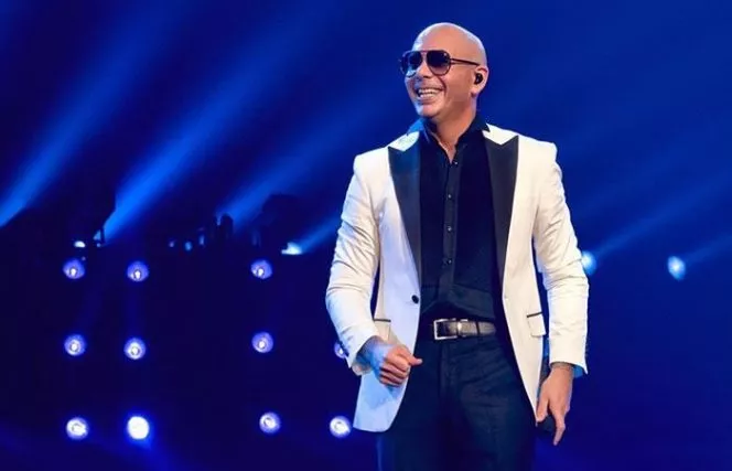 Pitbull s