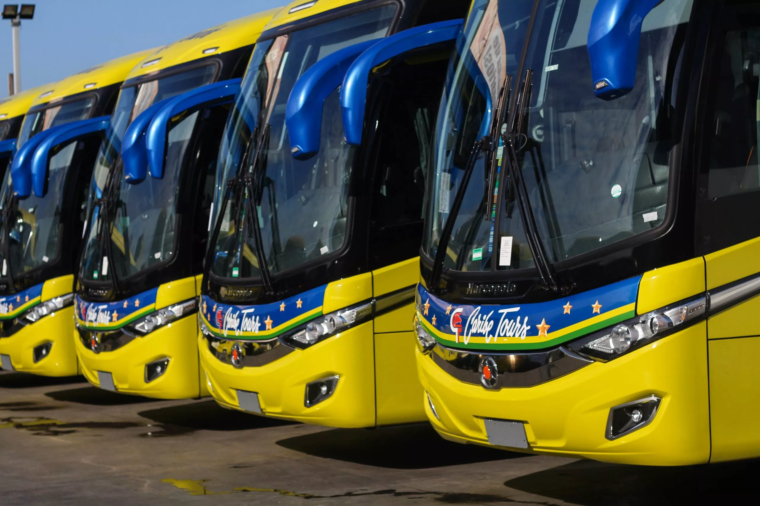 Autobuses de la marca Volvo Marco Polo, año 2019. (1)