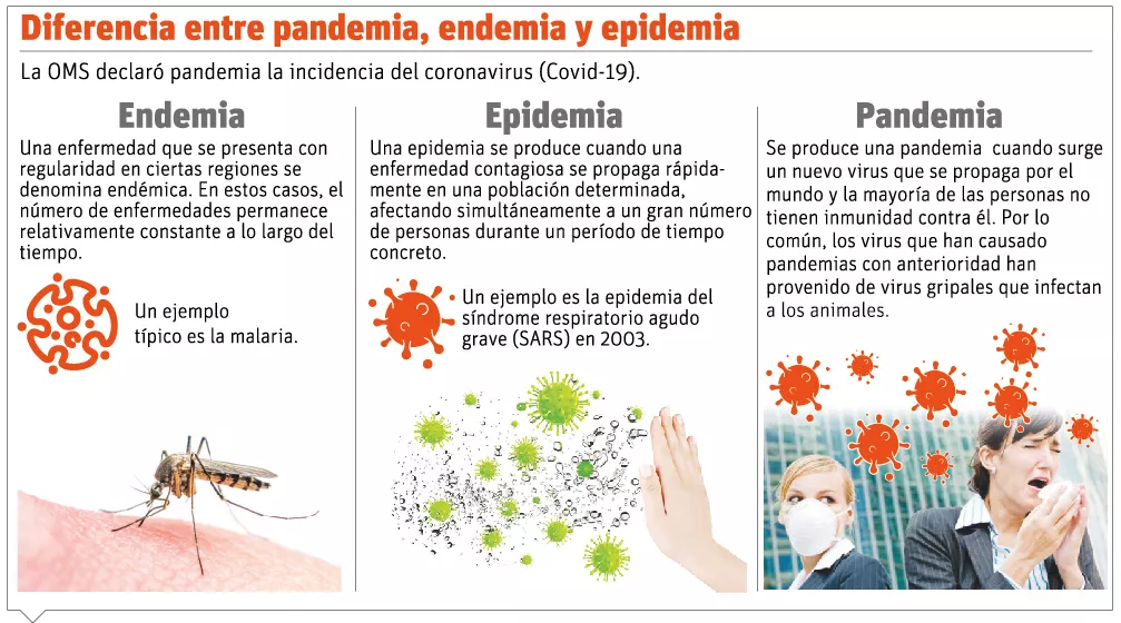 info-DIFERENCIA DE VIRUS