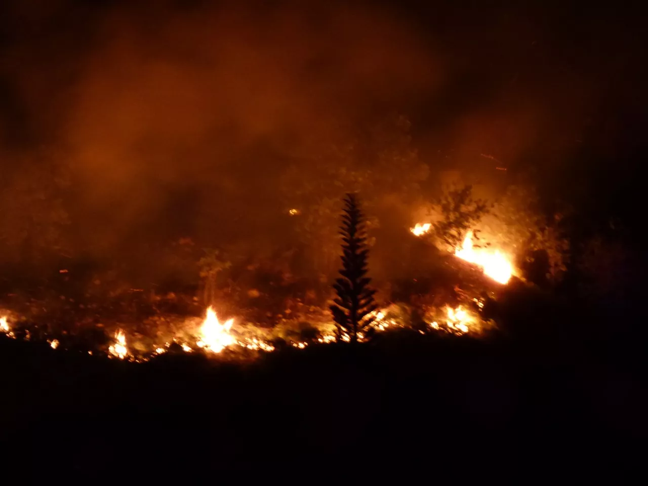 Incendio en Cosón