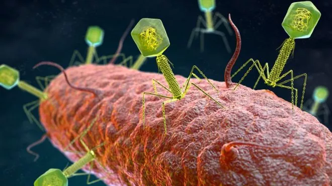 virus-fagos-ciencia