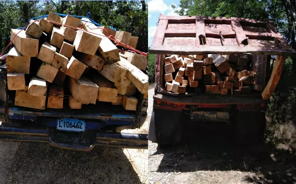 INCAUTAN CARGAMENTO ILEGAL DE MADERA Y DETIENEN CUATRO HOMBRES EN PUERTO PLATA (1)