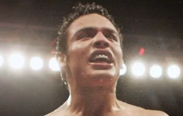 Julio Cesar Chavez, Jr, Miguel Molleda