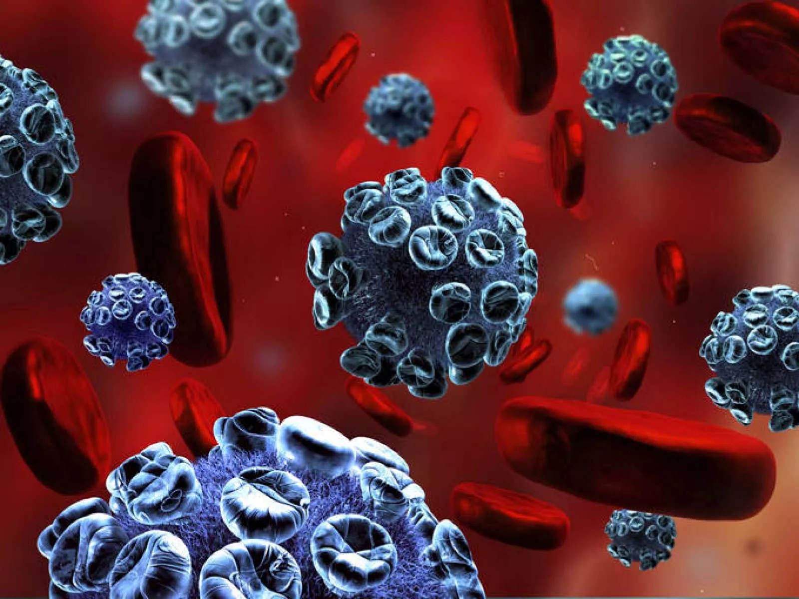 Virus