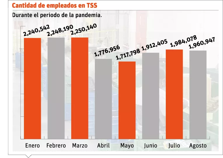 info-EMPLEADOS TSS