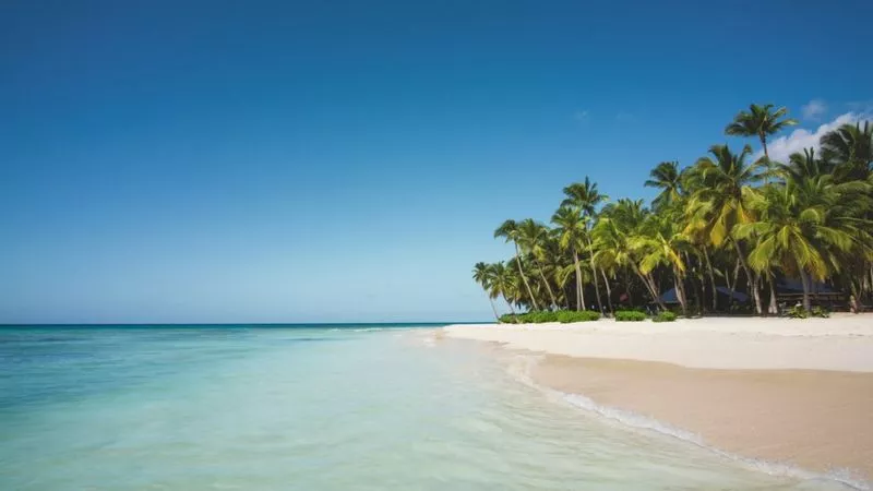 _114716535_caribe