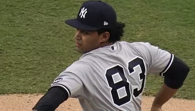 ALDS Yankees Rays Baseball