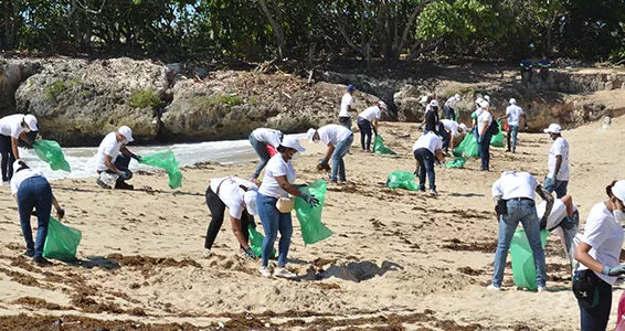 CAEI