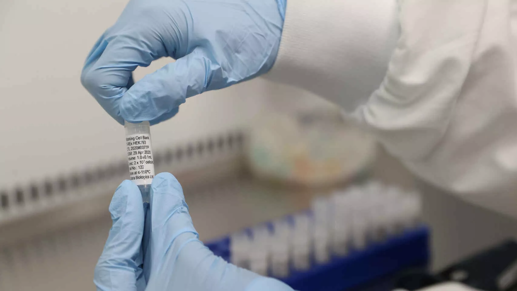 Coronavirus-Enfermedades_infecciosas-Infecciones-Salud_489213056_151814787_1706x960