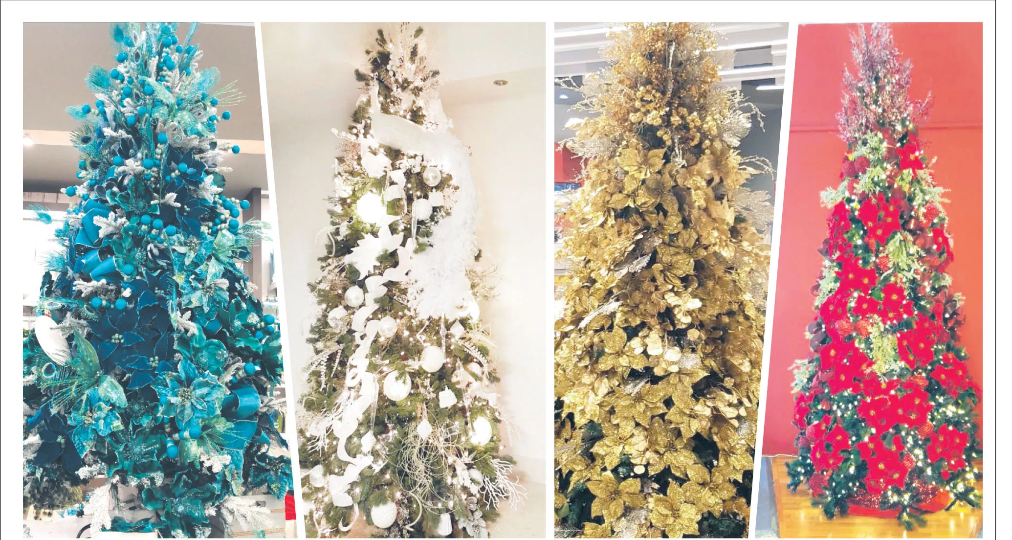 árbol