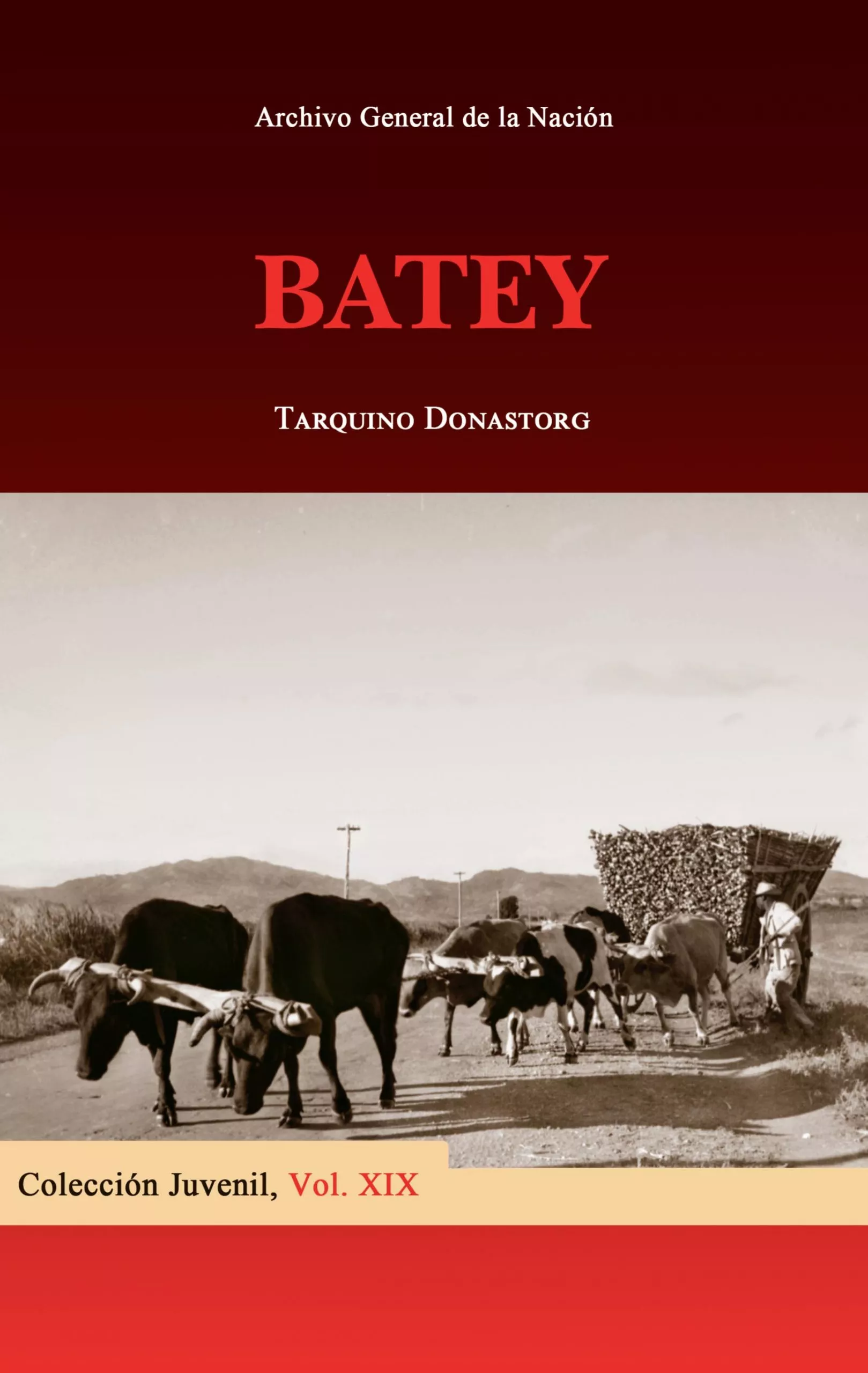 3001 portada col juvenil-BATEY copy