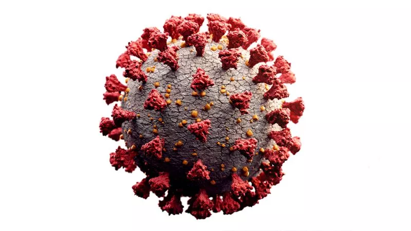 Al ser más pequeños que las bacterias, los virus permanecieron sin ser detectados por siglos.