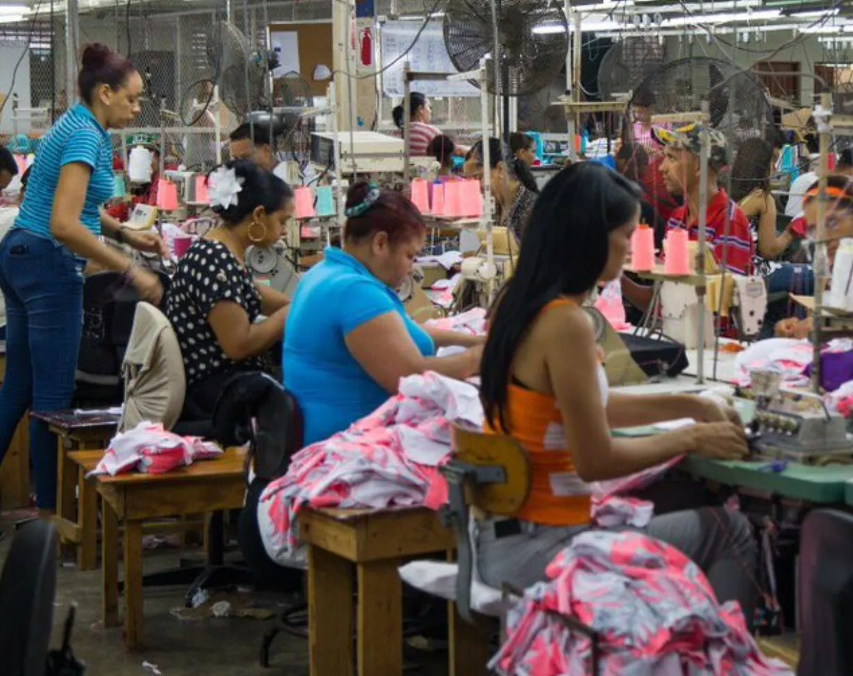 Sectores productivos