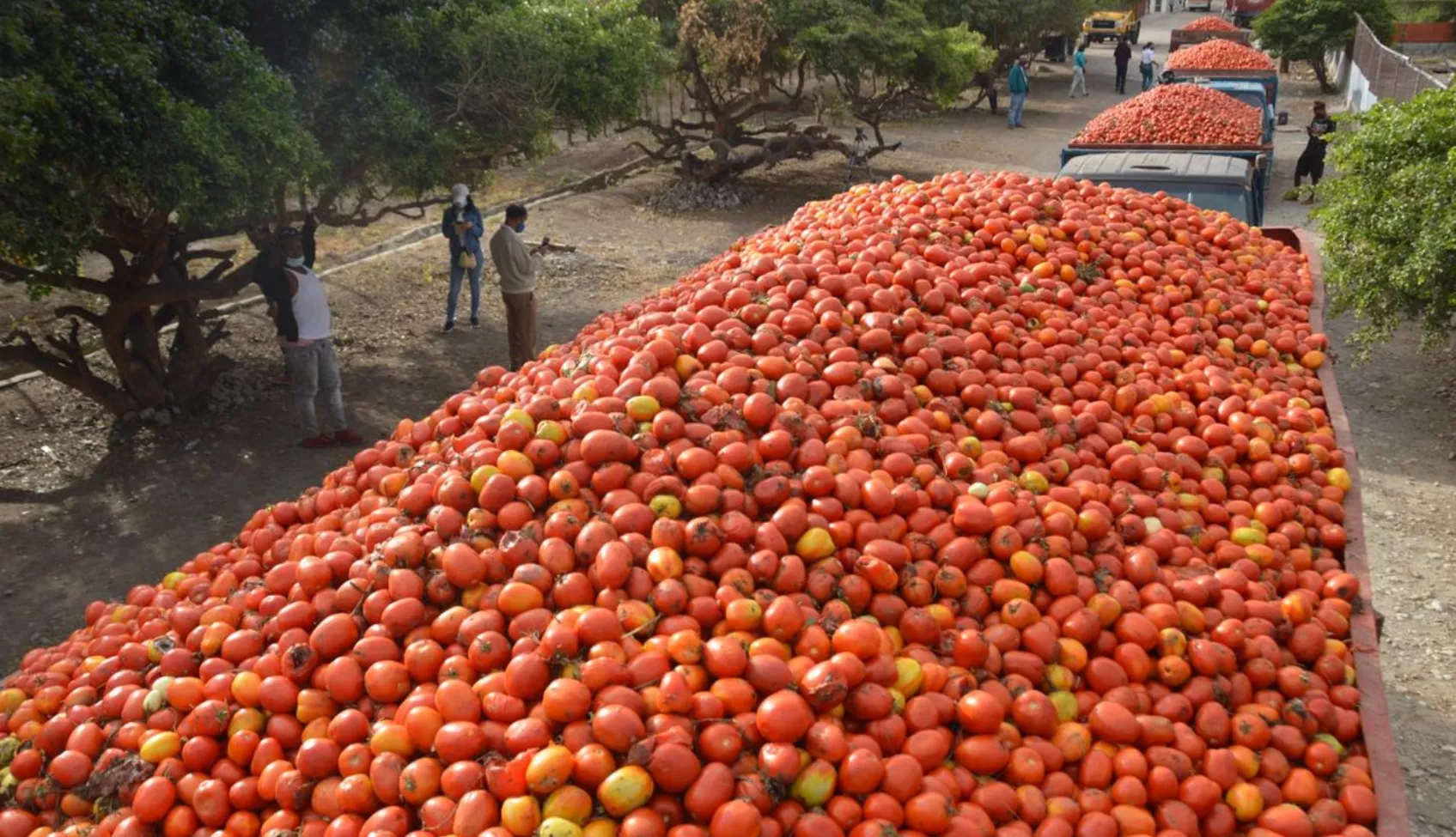producción