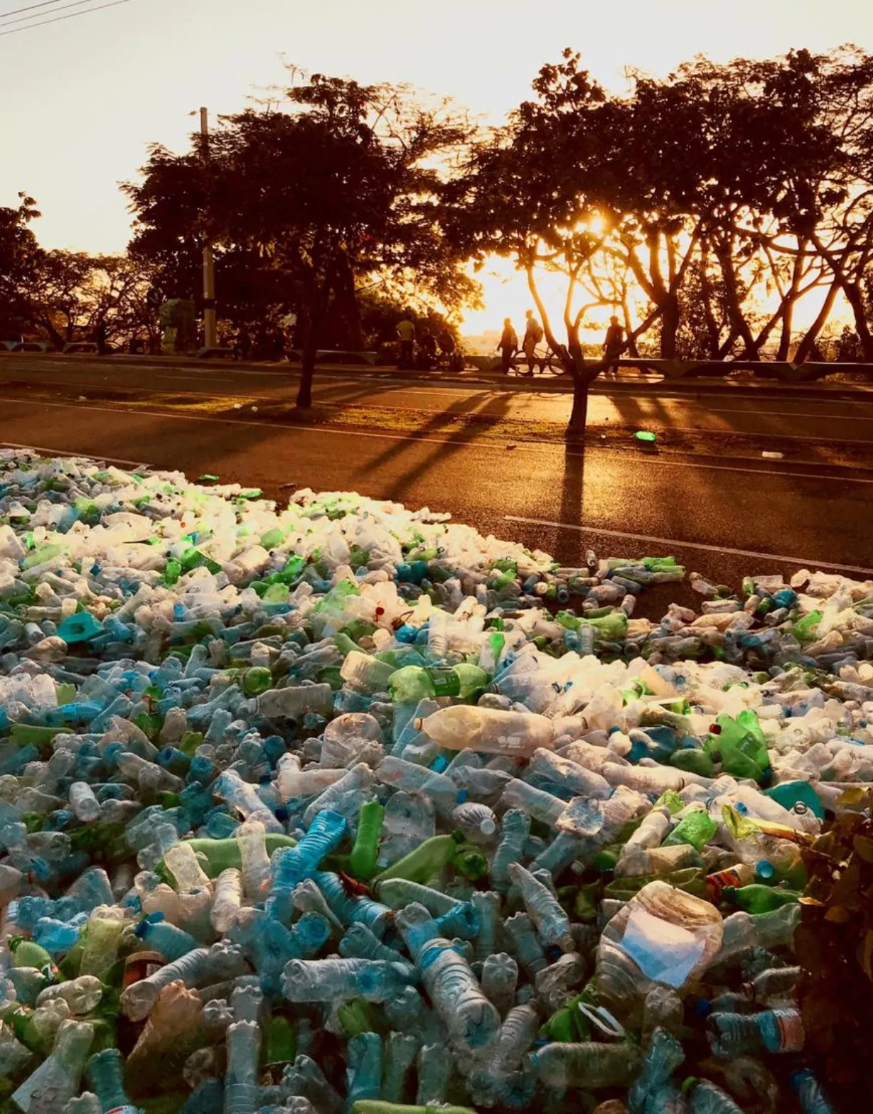 Recicla