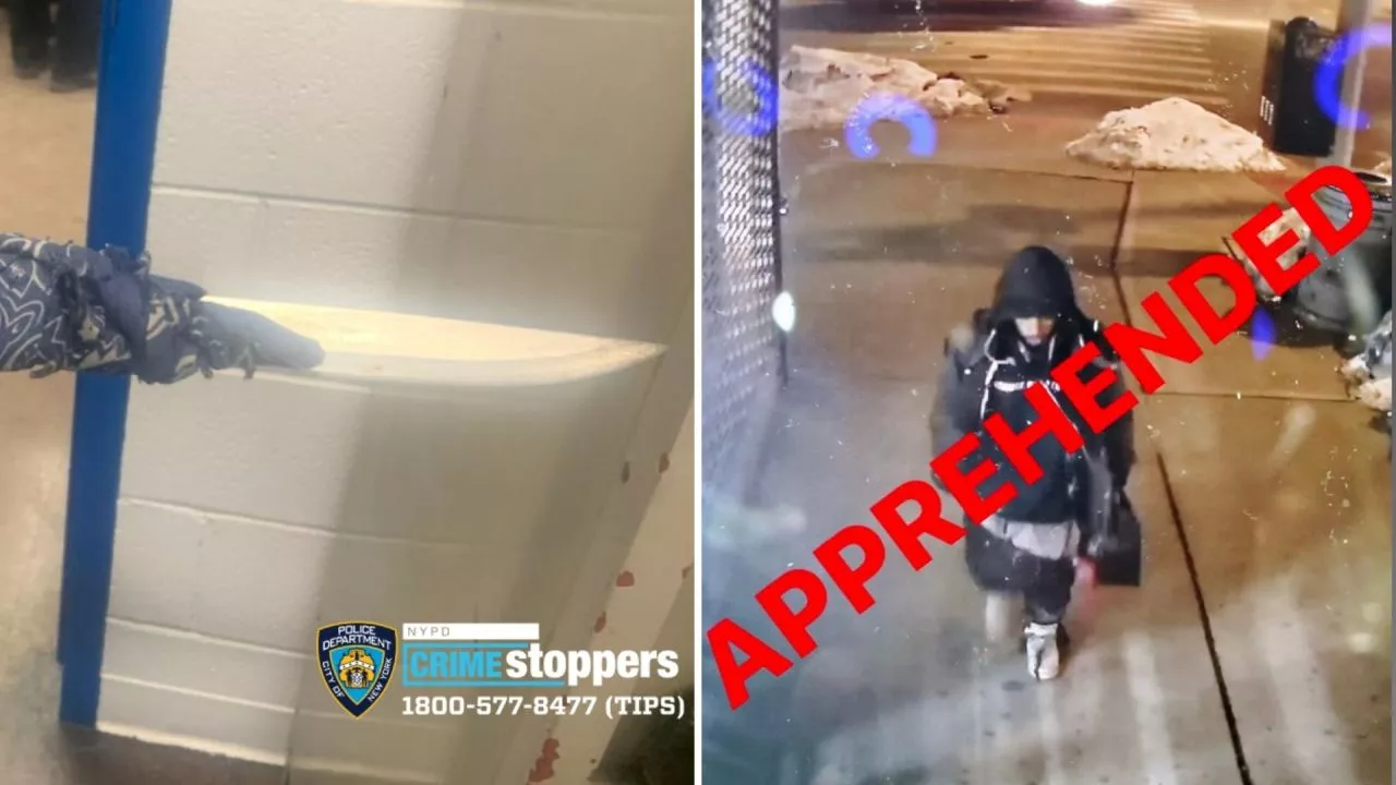 Apresan autor de tragedias en estaciones trenes NY_ Alto Manhattan con un muerto y herido